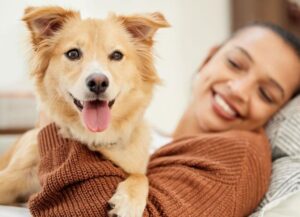 Pet Reduces Your Stress