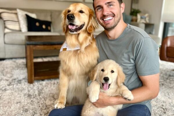 Pet Reduces Your Stress