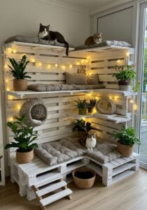 Keep Indoor Cats Active