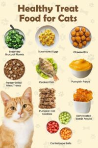 Keep Indoor Cats Active