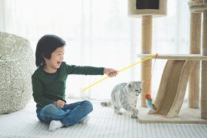 Keep Indoor Cats Active