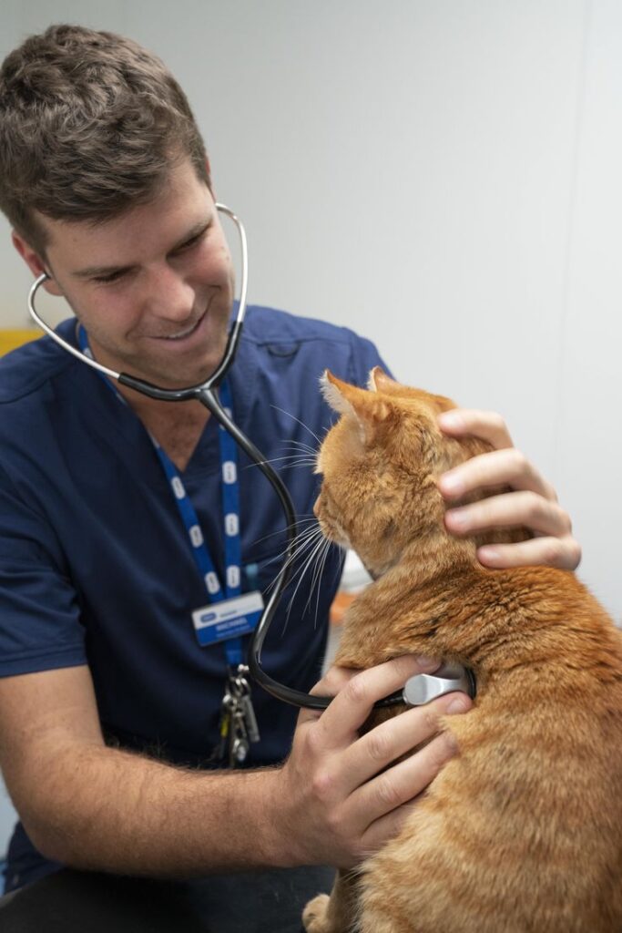 Beginner’s Guide to Pet Care